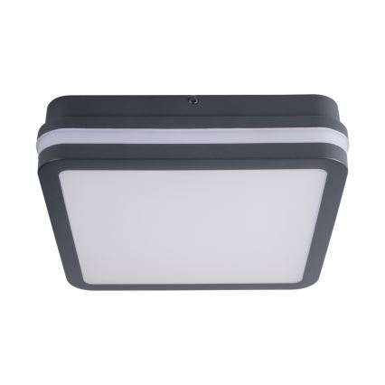 Светодиодный уличный потолочный светильник с датчиком BENO LED/24W/230V 4000K антрацит IP54
