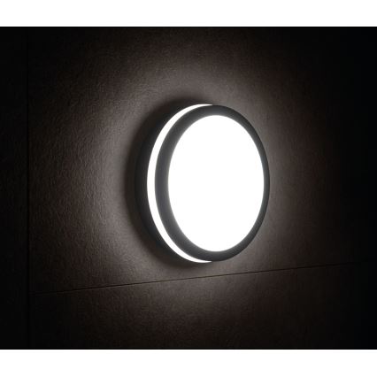 LED Вуличний стельовий світильник BENO LED/18W/230V 4000K антрацит IP54