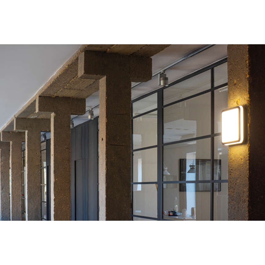 LED Вуличний стельовий світильник BENO LED/18W/230V 4000K антрацит IP54