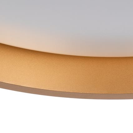 Стельовий LED світильник SOLN LED/17,5W/230V діаметр 38 см білий/золотий