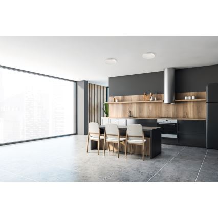 Вуличний світлодіодний стельовий світильник BENO ECO LED/12W/230V 3000/4000/6500K діаметр 20 см IP65 білий