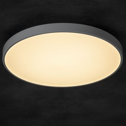 Светодиодный потолочный светильник с регулированием яркости PLAFON LED/20W/230V 3000-6500K Wi-Fi белый