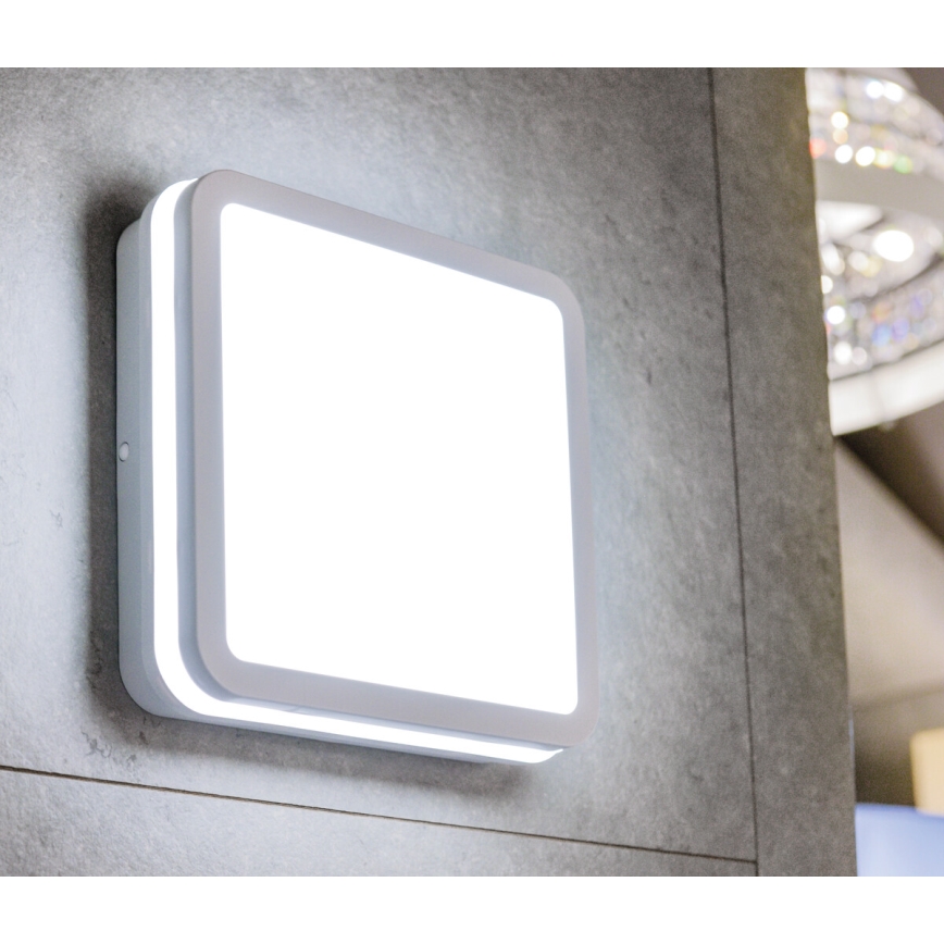 Вуличний світлодіодний стельовий світильник BENO LED/12/18W/230V 3000/3500/4000K IP65 білий квадратний
