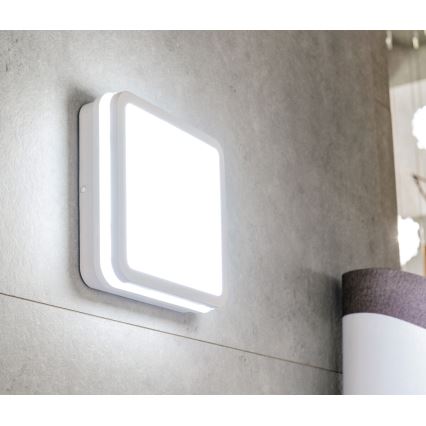 Вуличний світлодіодний стельовий світильник з датчиком руху BENO LED/24/30W/230V 3000/3500/4000K IP65 білий квадратний