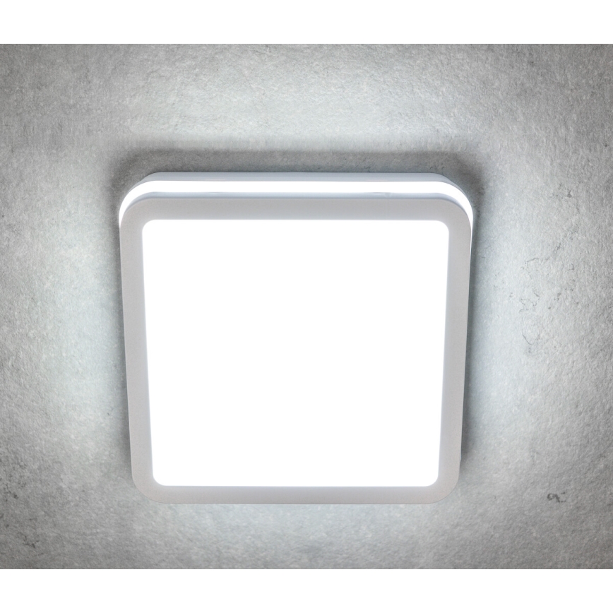 Светодиодный уличный потолочный светильник с датчиком движения BENO LED/24/30W/230V 3000/3500/4000K IP65 белый угловой