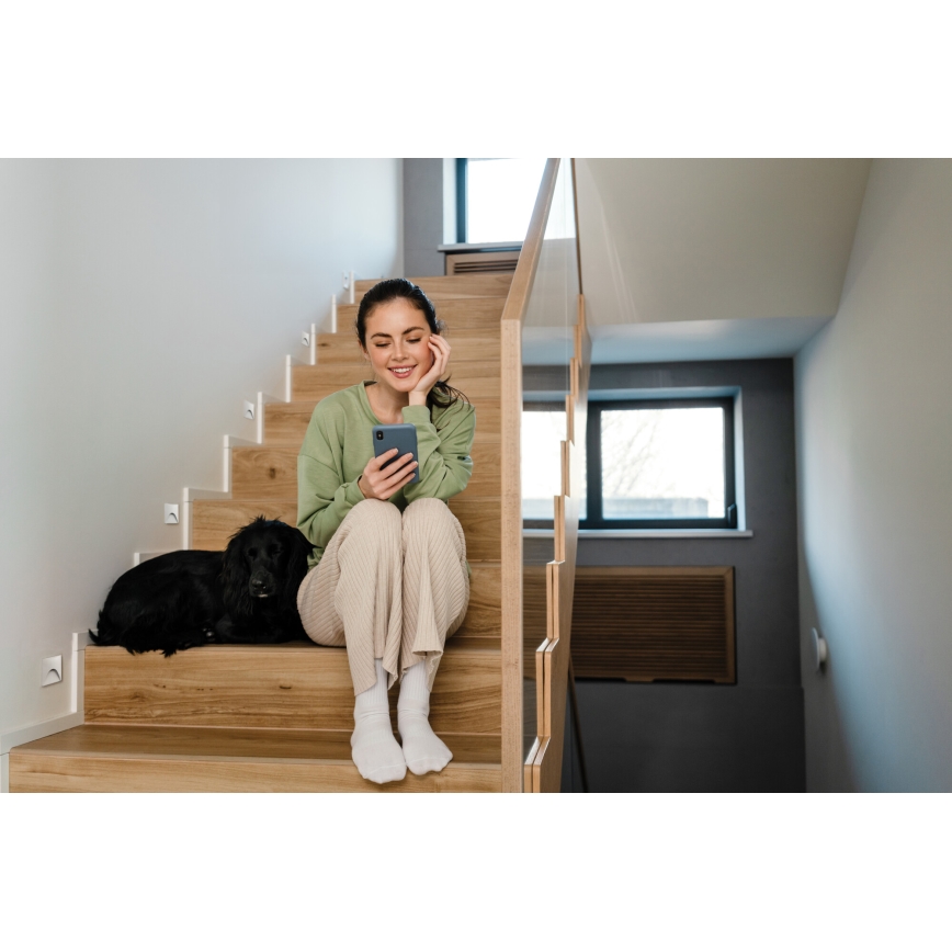 LED сходовий світильник EXIN LED/2,5W/230V 4000K IP65 білий квадратний