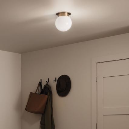 Kichler KL-ALBERS-F-G-CPZ — потолочный светильник ALBERS, 1xE27/40W/230V, диаметр 20,3 см, золотой