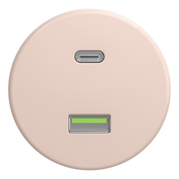 Kliklap - Ретро USB-розетка A+C без рамки старо-рожева