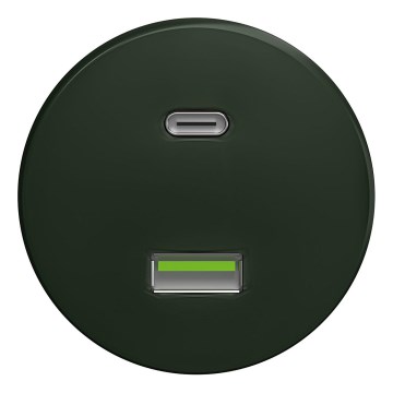 Kliklap - Ретро USB розетка A+C без рамки зелена