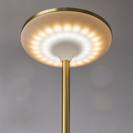 LED акумуляторна сенсорна настільна лампа TAVOLO LED/2,5W/5V 2400 mAh 3000-6000K золота