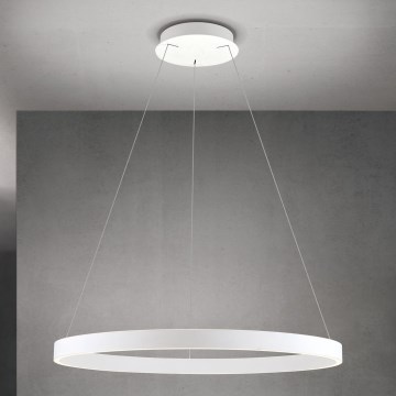 LED диммируемая подвесная люстра на тросе KOLK LED/80W/230V 2700/3000/4000K диам. 80 см белая
