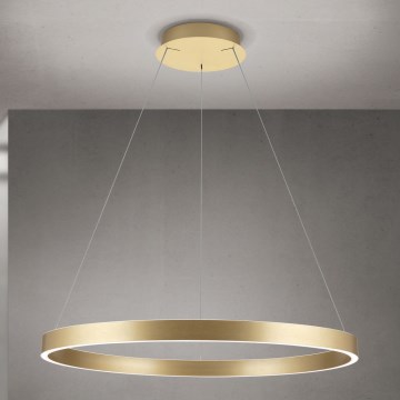 LED диммируемая подвесная люстра на тросе KOLK LED/80W/230V 2700/3000/4000K диаметр 80 см золотая