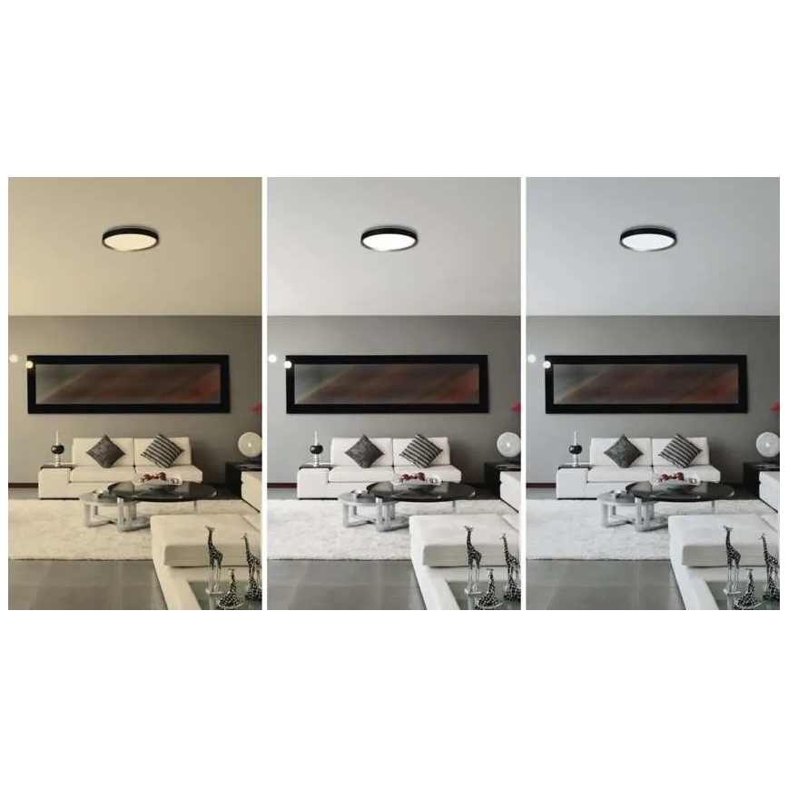 Диммируемый светодиодный потолочный светильник ILVI LED 30 Вт/230 В 2700–6500 К, Ø 40 см, черный/латунь + пульт дистанционного управления