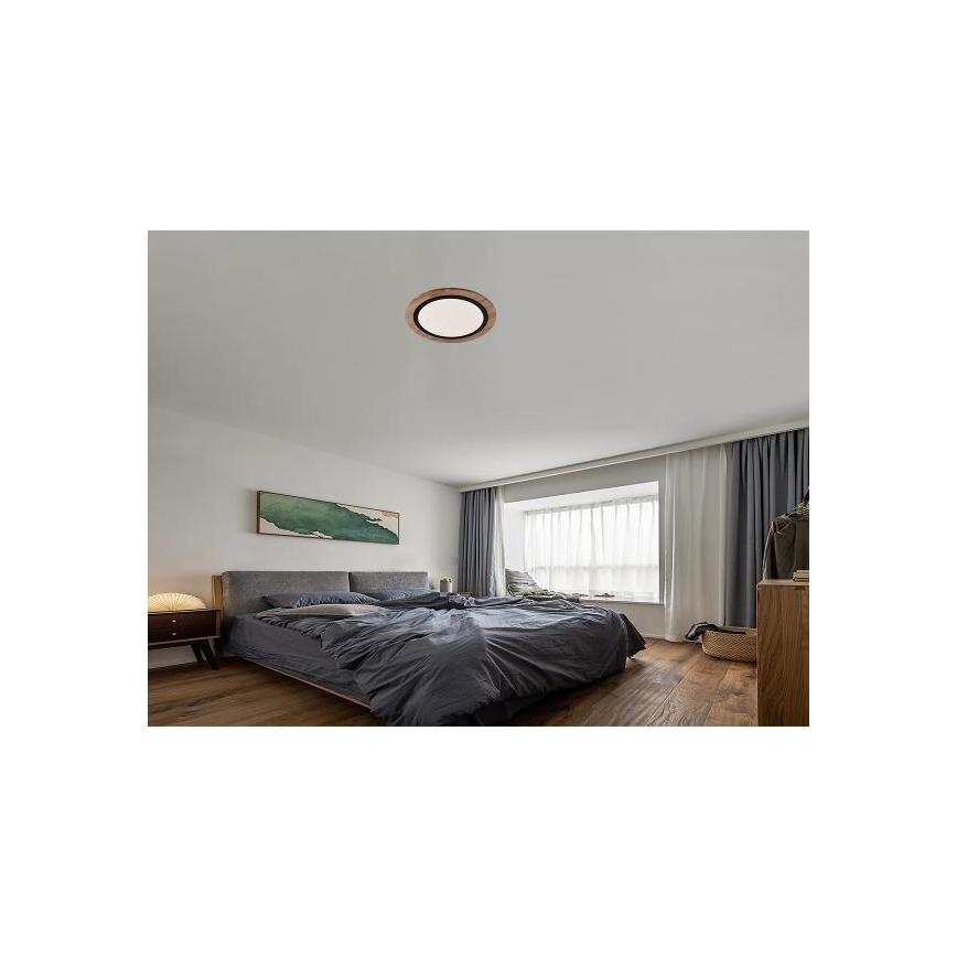 LED диммируемый потолочный светильник LED/25W/230V 3000-6500K + дистанционное управление