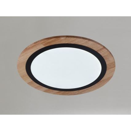 LED диммируемый потолочный светильник LED/25W/230V 3000-6500K + дистанционное управление