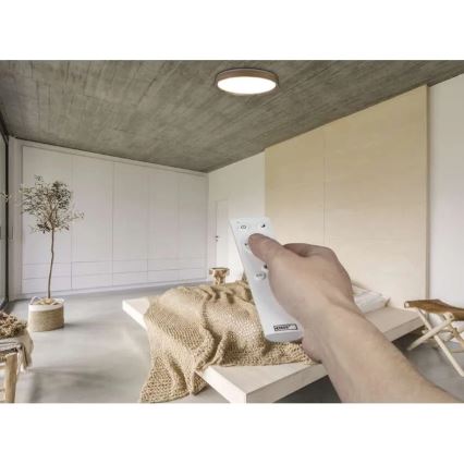 LED-стельовий світильник ILVI з регулюванням яскравості LED/45W/230V 2700-6500K, діаметр 50 см, бежевий + пульт дистанційного керування