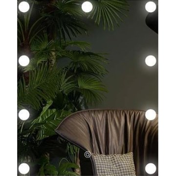 LED Дзеркало з підсвіткою 9xLED/1W/230V 3000/4000/6000K 50x40 см IP44