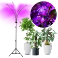 LED Гнучкий торшер для вирощування рослин з регулюванням яскравості VITARO 4xLED/7,5W/230V чорний