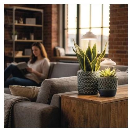 LED інтер'єрна лампа для вирощування рослин GROW LED/5W/5V