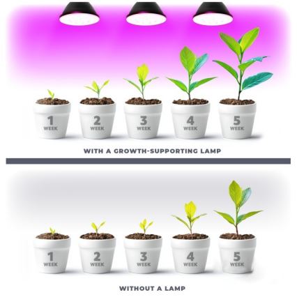 Светодиодная лампа для роста растений PLANTY E27/7W/230V 1200K черная