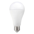 LED лампа GS E27/17W/230V 6500K