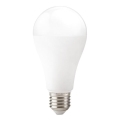 LED-лампа GS E27/22W/230V 4000K