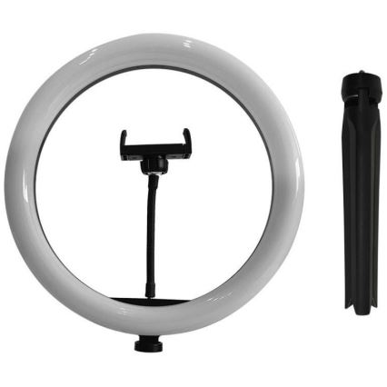 LED Лампа з регулюванням яскравості зі штативом і тримачем для відеоблогів LED/10W/5V 3200-5500K