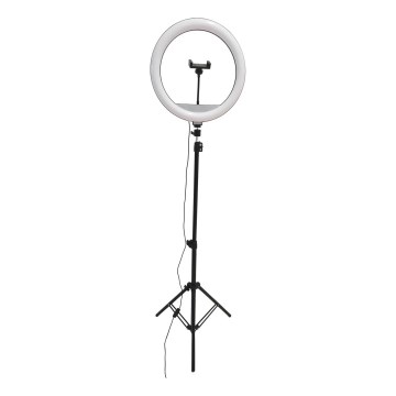 LED Лампа з регулюванням яскравості зі штативом і тримачем для відеоблогів LED/15W/5V 2700-6500K