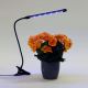 LED лампа з затискачем та регулюванням яскравості для освітлення рослин LED/3W/230V чорний