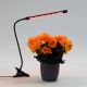 LED лампа з затискачем та регулюванням яскравості для освітлення рослин LED/3W/230V чорний