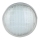 LED Лампочка для басейну LED/25W/12V IP68 6500K
