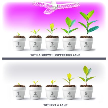 LED Лампочка для вирощування рослин PLANTY E27/24W/230V 1200K