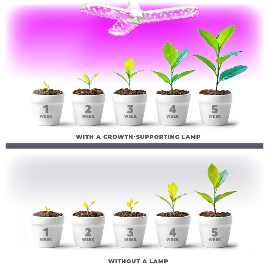 LED Лампочка для вирощування рослин PLANTY E27/24W/230V 1200K