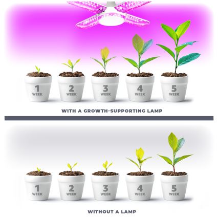 LED Лампочка для вирощування рослин PLANTY E27/40W/230V 1200K