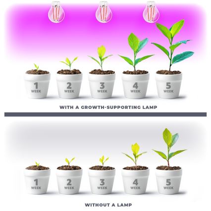 LED Лампочка для вирощування рослин PLANTY E27/8W/230V 1200K