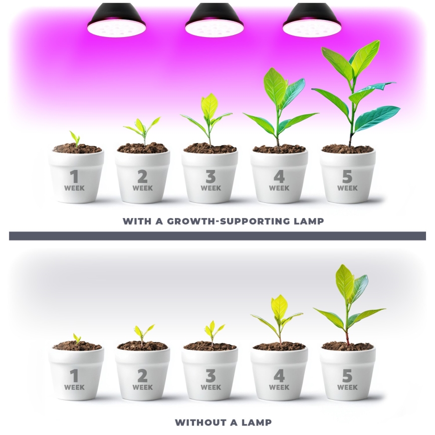 LED Лампочка для вирощування рослин PLANTY E27/9W/230V 1200K чорний