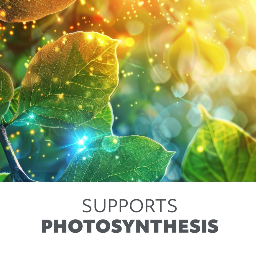 LED Лампочка для вирощування рослин PLANTY E27/9W/230V 1200K чорний