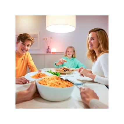 LED лампочка з регулюванням яскравості A60 E27/8W/230V 2700K CRI 90 Wi-Fi – WiZ