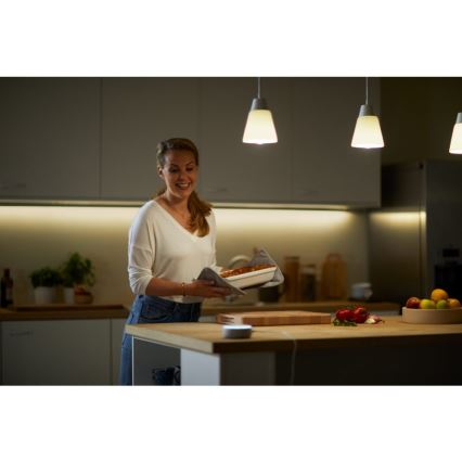 LED лампочка з регулюванням яскравості A60 E27/8W/230V 2700K CRI 90 Wi-Fi – WiZ