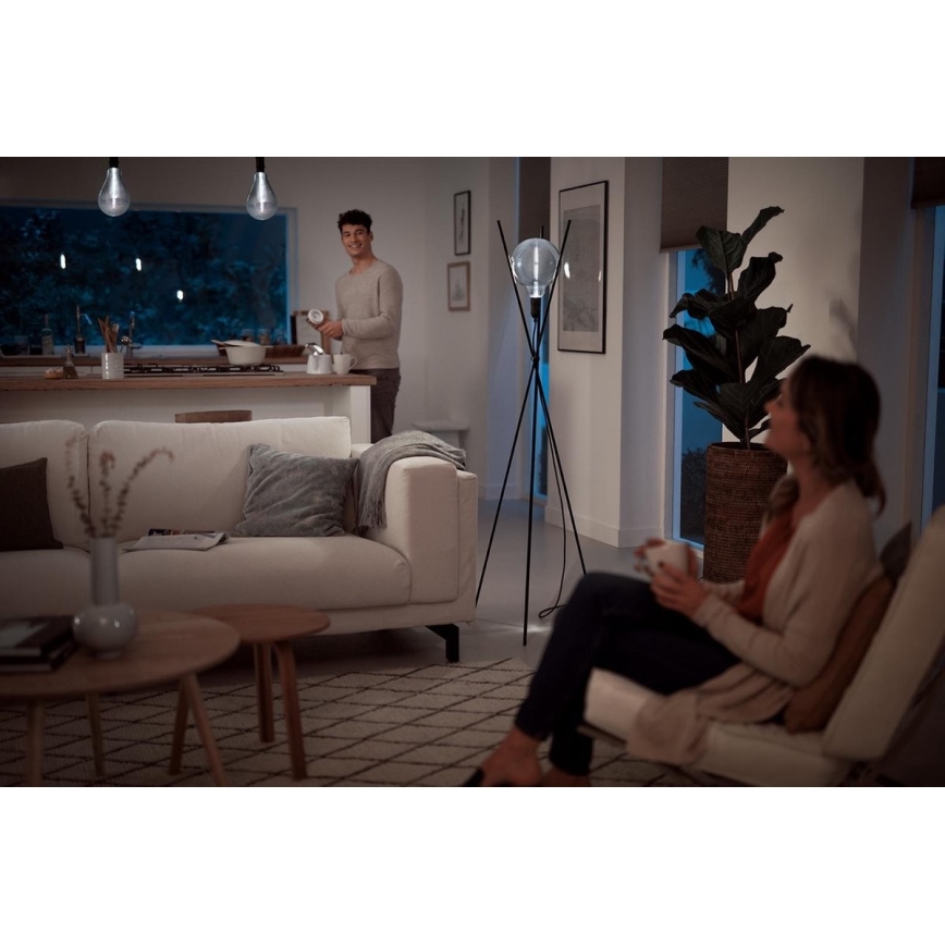 LED лампочка з регулюванням яскравості SMOKY VINTAGE Philips E27/6,5W/230V 4000K