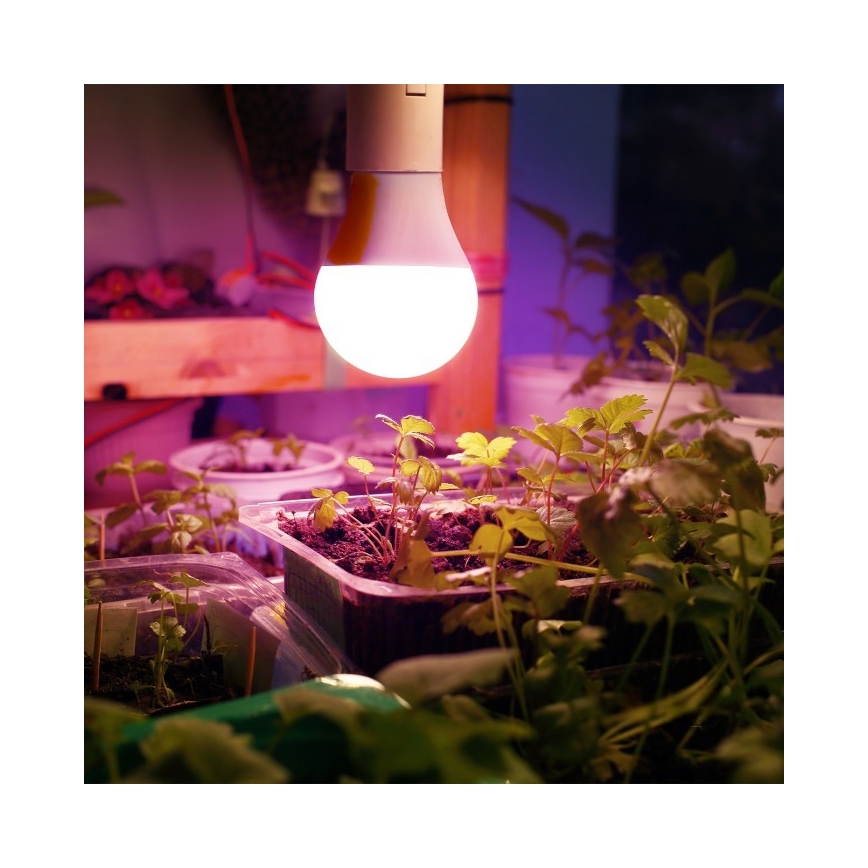 LED Лампочка для вирощування рослин PLANTY E27/11W/230V 1200K білий
