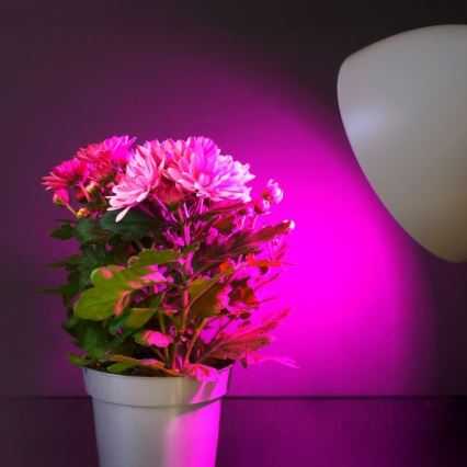 LED Лампочка для вирощування рослин PLANTY E27/11W/230V 1200K білий