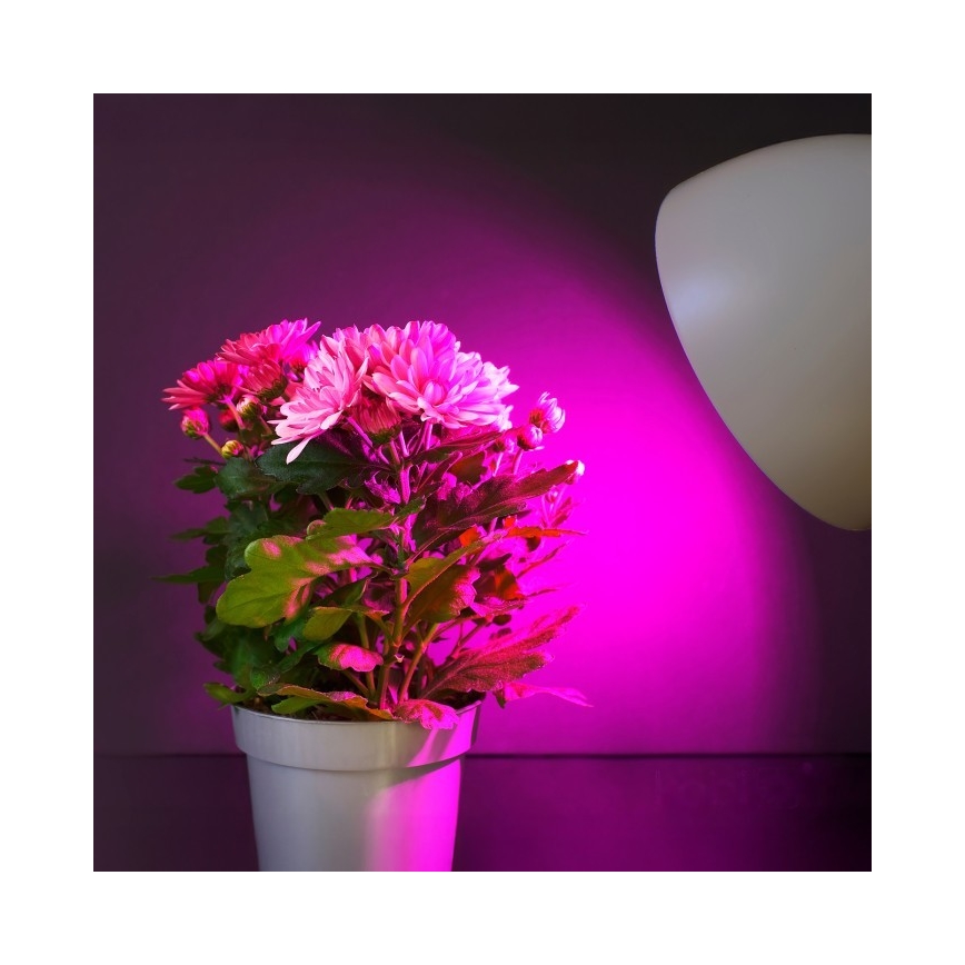 LED Лампочка для вирощування рослин PLANTY E27/11W/230V 1200K білий