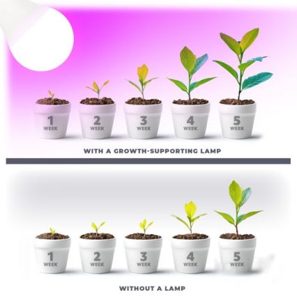 LED Лампочка для вирощування рослин PLANTY E27/11W/230V 1200K білий