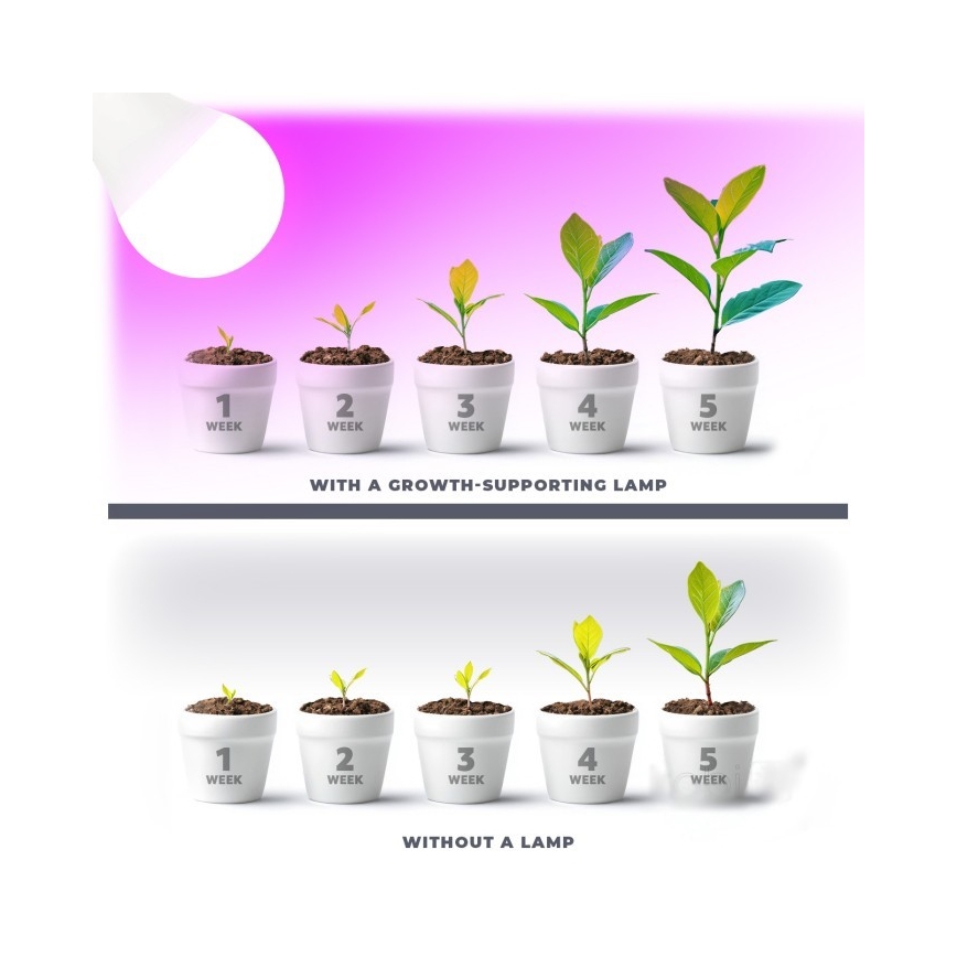 LED Лампочка для вирощування рослин PLANTY E27/11W/230V 1200K білий