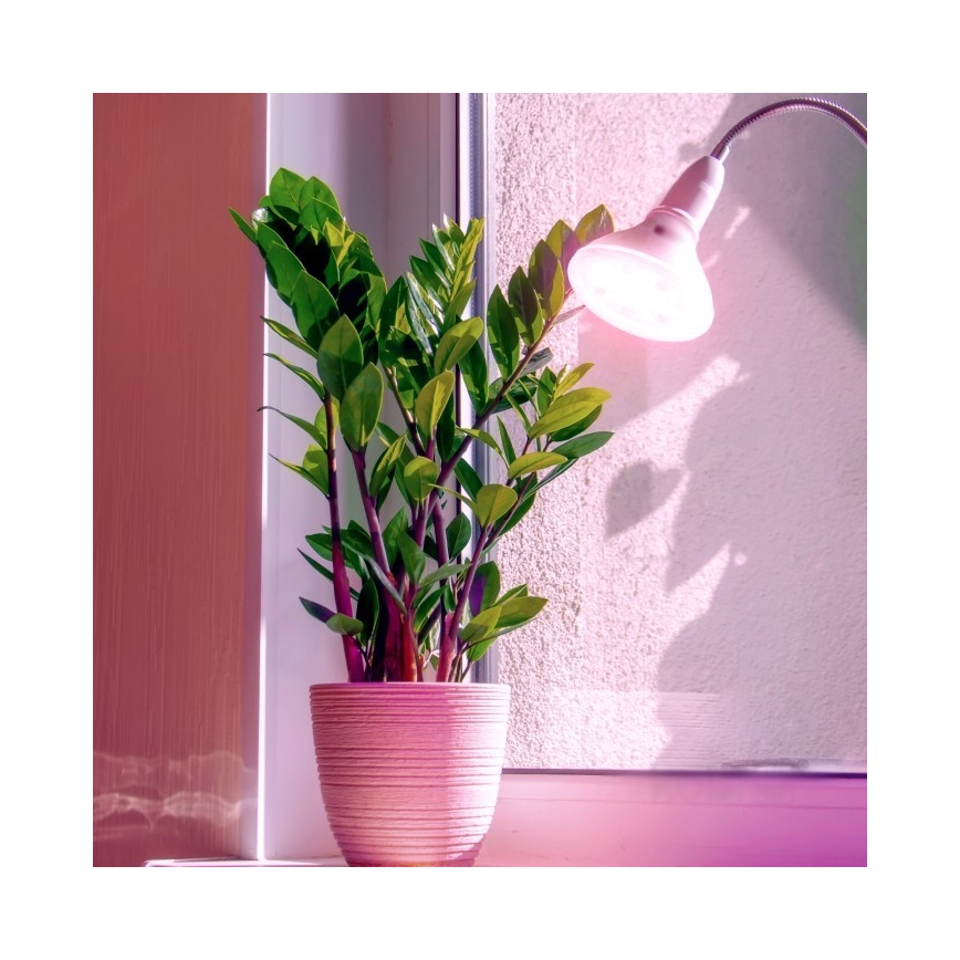 LED Лампочка для вирощування рослин PLANTY E27/7W/230V 1200K білий