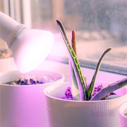 LED Лампочка для вирощування рослин PLANTY E27/7W/230V 1200K білий
