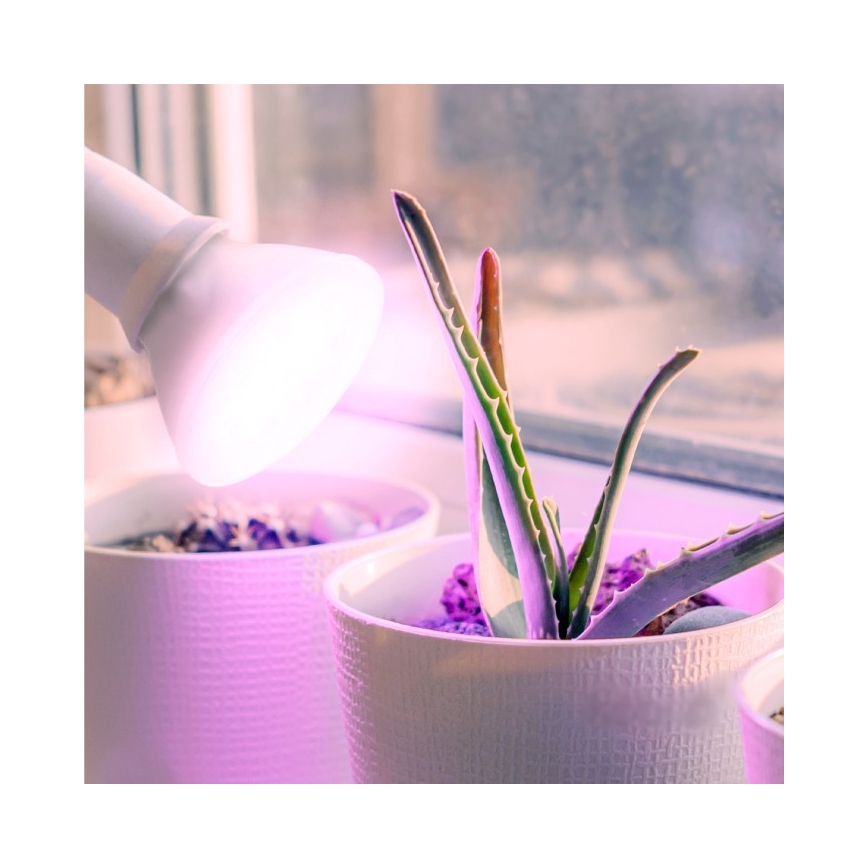 LED Лампочка для вирощування рослин PLANTY E27/7W/230V 1200K білий