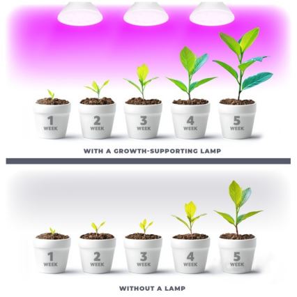LED Лампочка для вирощування рослин PLANTY E27/7W/230V 1200K білий