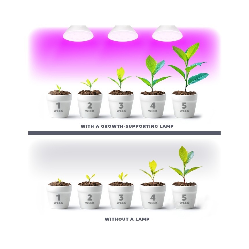 LED Лампочка для вирощування рослин PLANTY E27/7W/230V 1200K білий